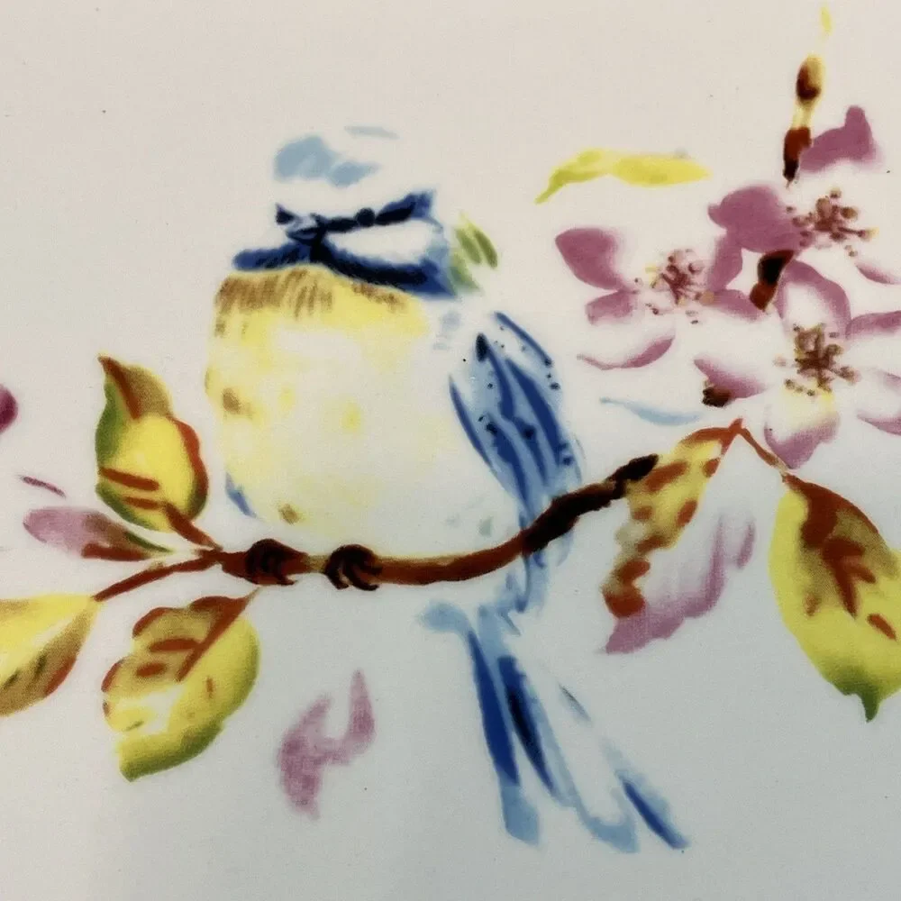 Pier 1 Bluebird Blue Jay Dolomite Dessert Plate/Trinket Dish 7” Square Discont.